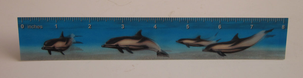 3D or Animated 8-Inch Ruler | Kids' Fun Novelty Ruler
