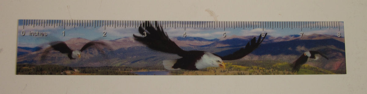 3D or Animated 8-Inch Ruler | Kids' Fun Novelty Ruler