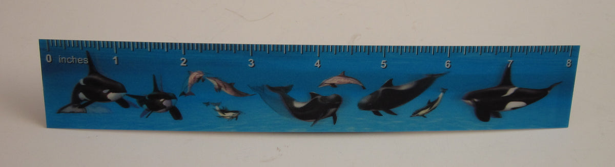 3D or Animated 8-Inch Ruler | Kids' Fun Novelty Ruler