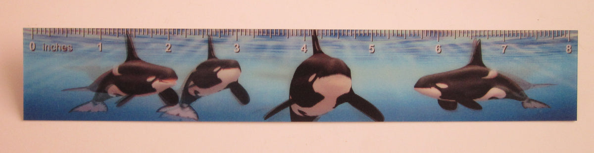 3D or Animated 8-Inch Ruler | Kids' Fun Novelty Ruler