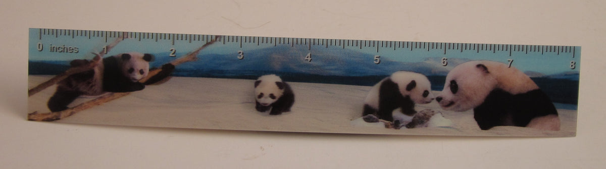 3D or Animated 8-Inch Ruler | Kids' Fun Novelty Ruler